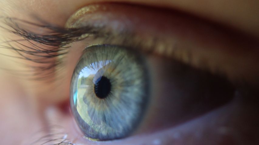 what-is-macular-degeneration-of-the-eye